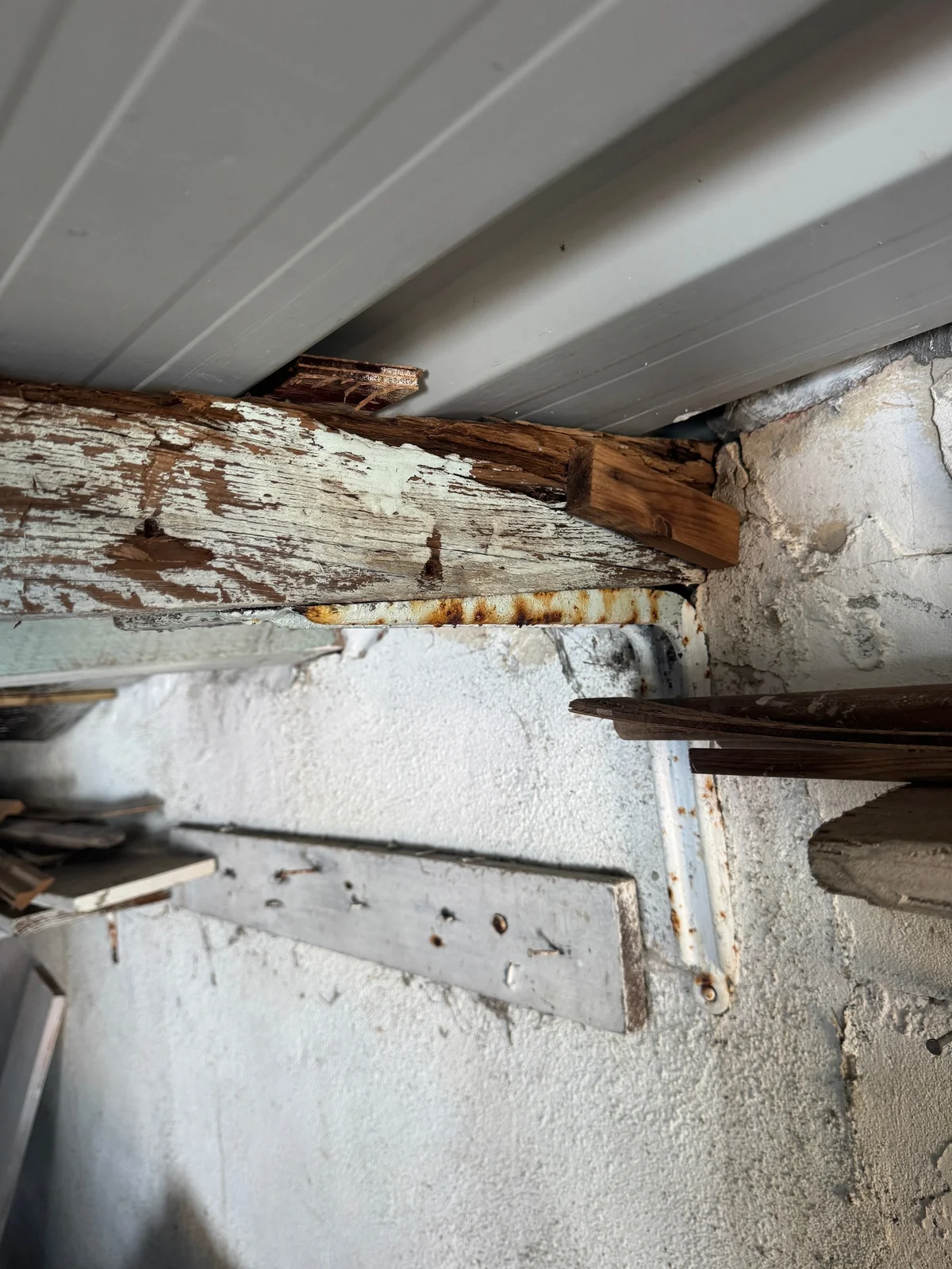 Severe deterioration to a painted timber beam at its bearing.