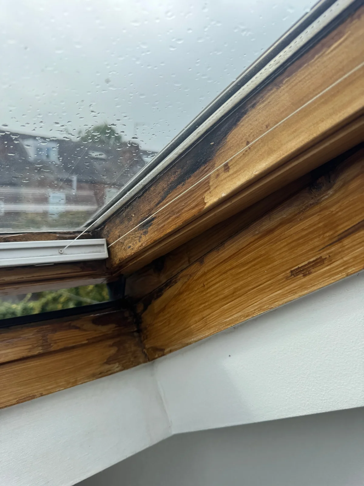 Dark staining and spotting on the timber lining around a rooflight.