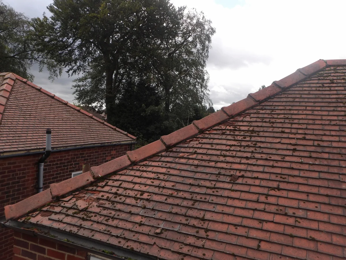 Broken tiles, displaced fragments and gaps in a moss-covered clay tiled roof.