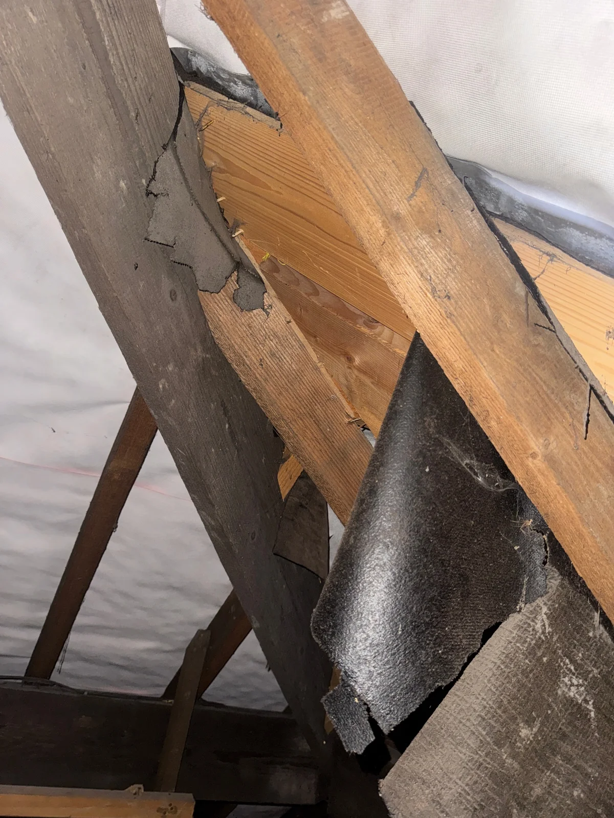 Torn and hanging roofing felt visible from inside a roof space.