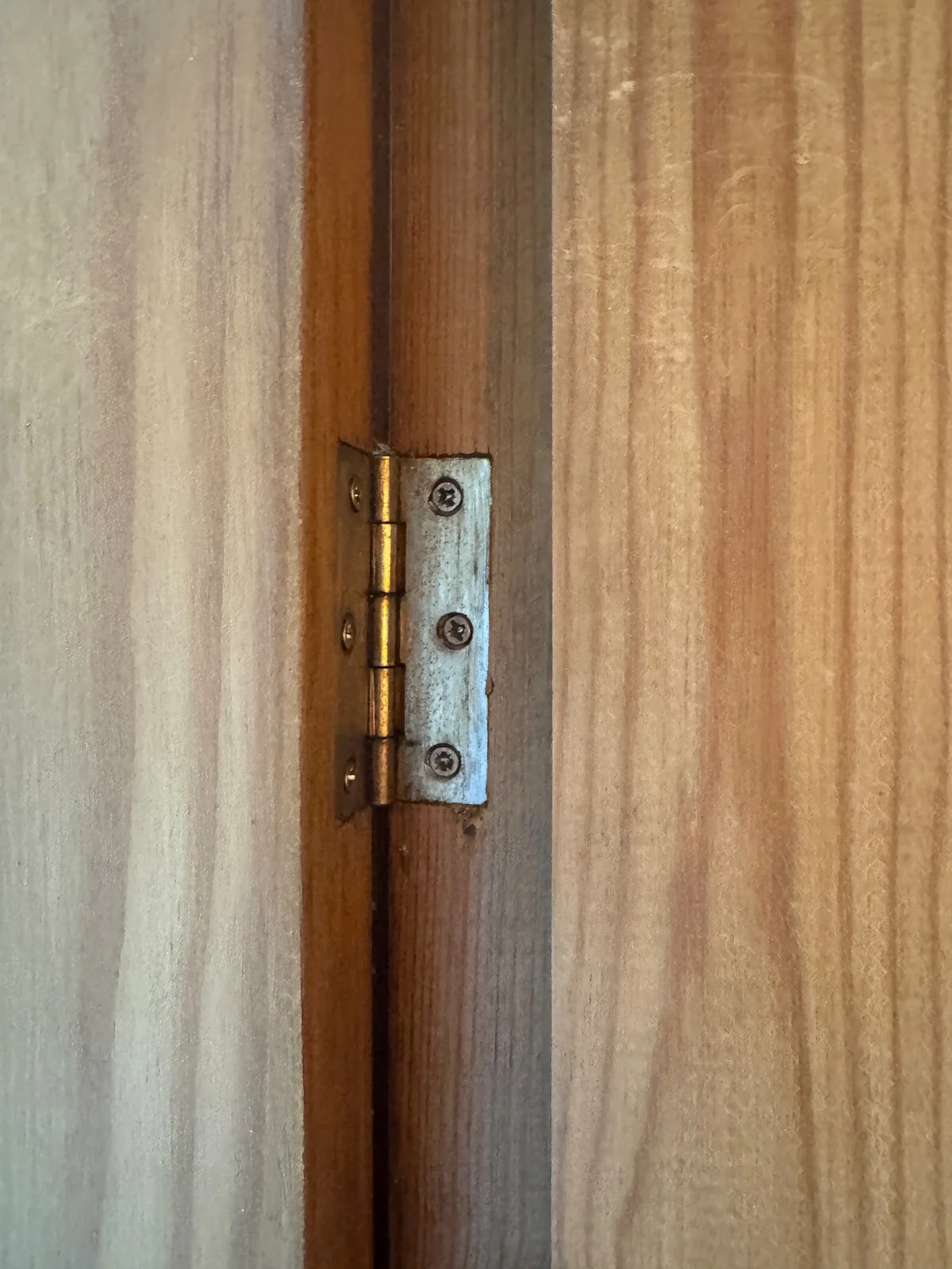 A small metal butt hinge recessed into an unpainted timber door edge and frame.