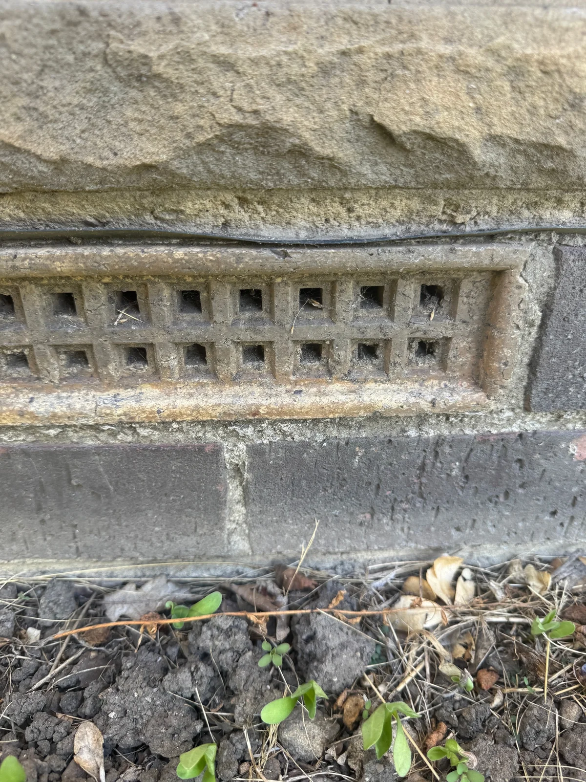 A rectangular air brick in a masonry wall with soil, leaves and small plants below it.