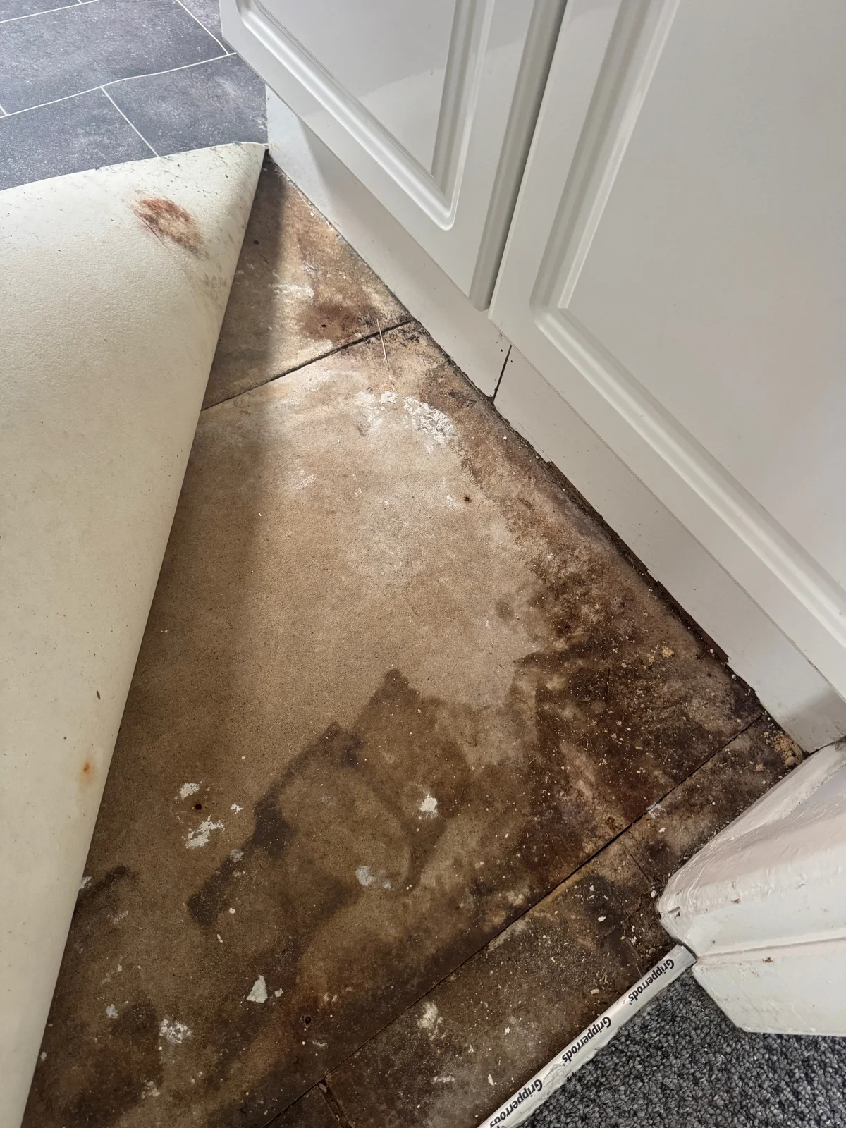 A flexible floor covering is turned back beside base cabinets, exposing brown staining across the supporting surface.