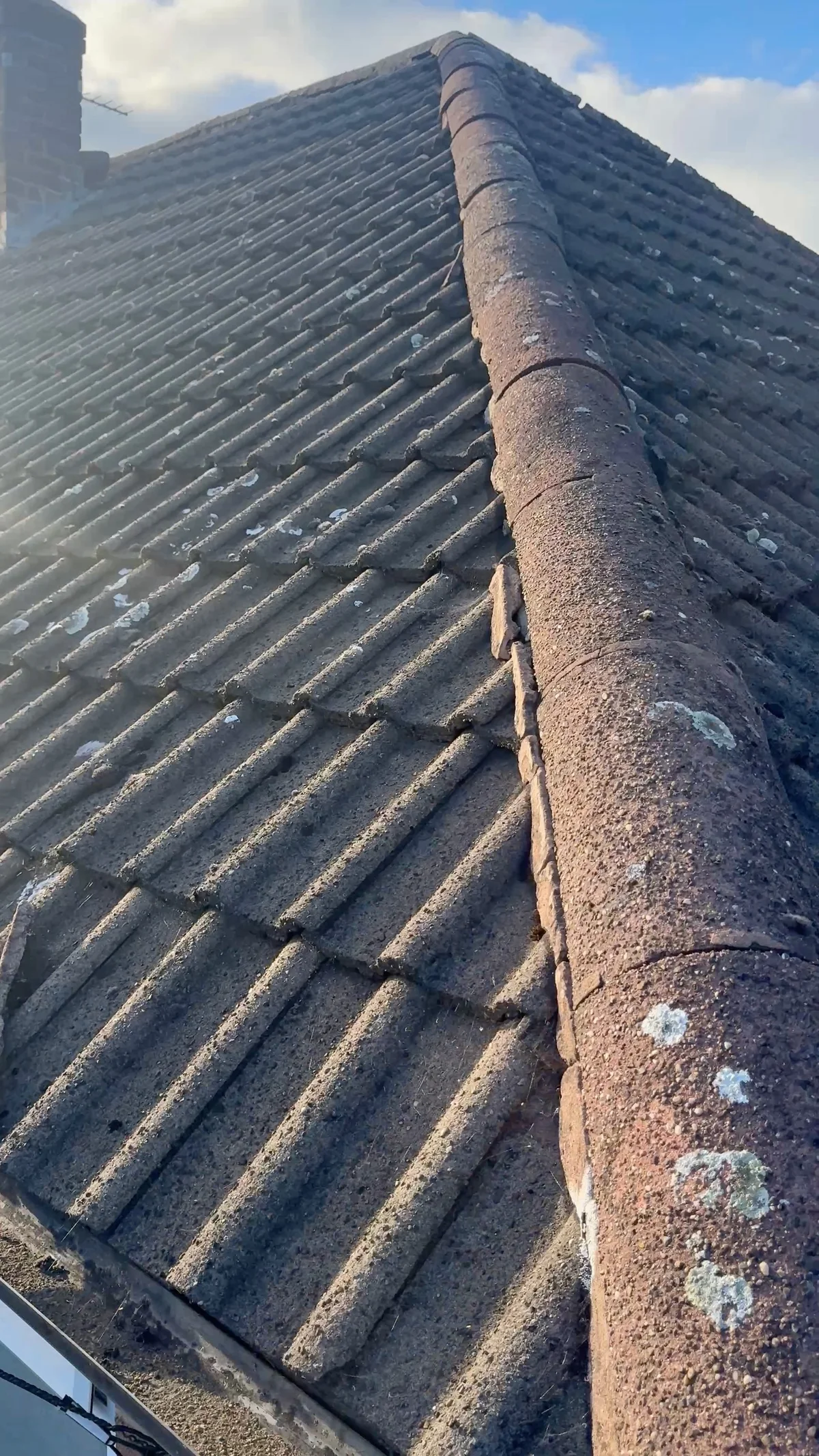 A line of rounded hip tiles runs between two pitched roof slopes with profiled tiles and surface growth.