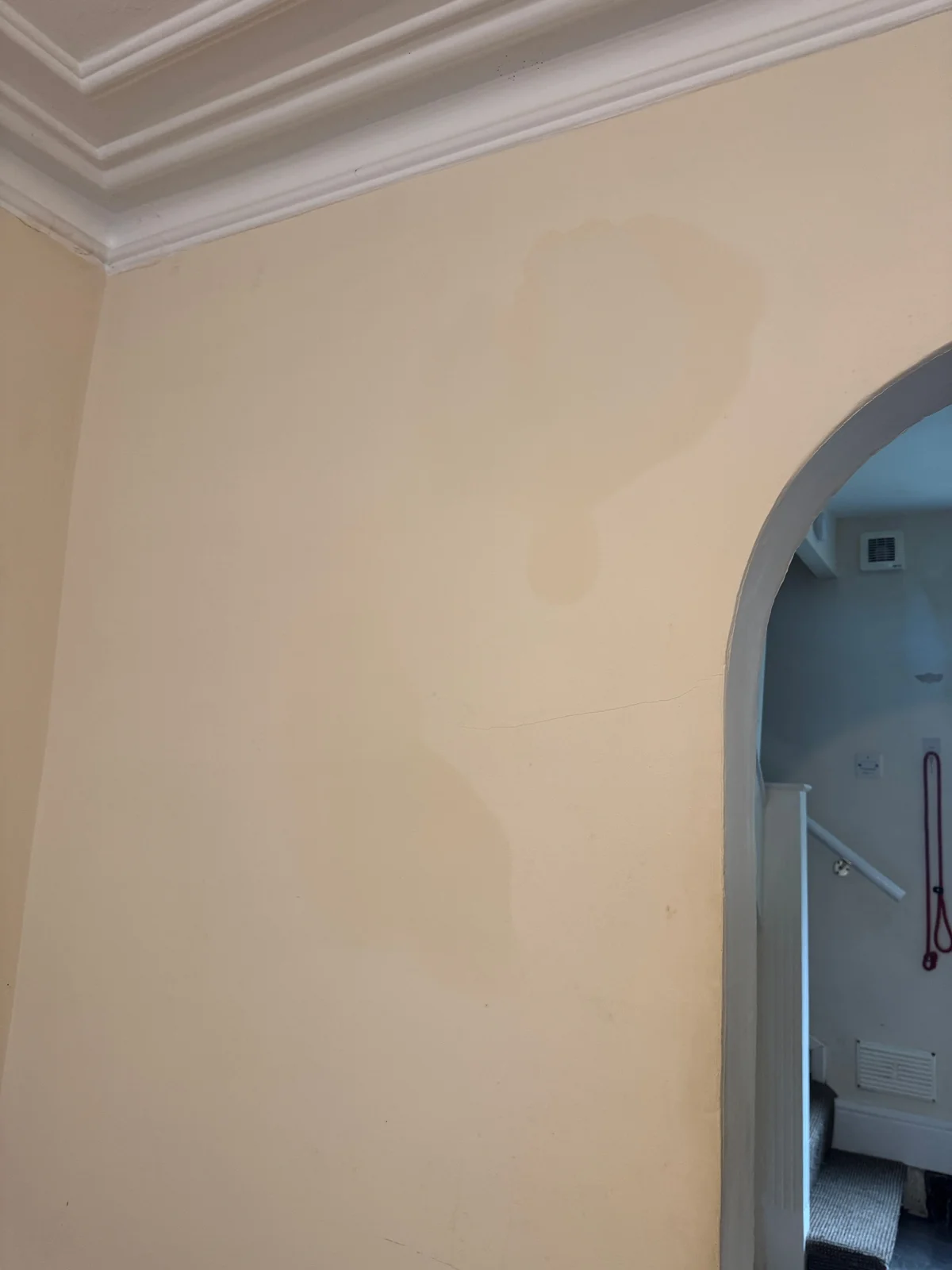 A moulded ceiling cornice above a painted wall and arched opening, with local colour variation and a fine crack.