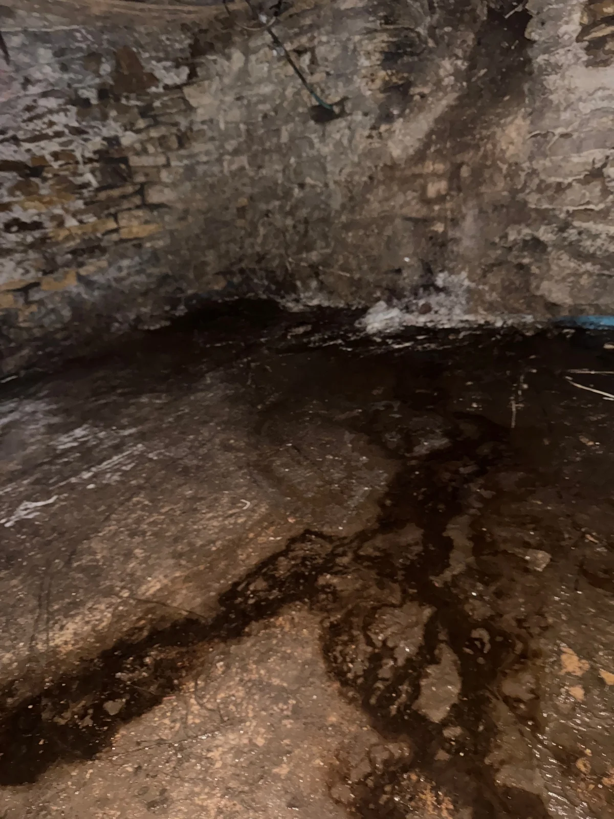 Dark patches extend across a cellar floor beside masonry walls with extensive white surface material.