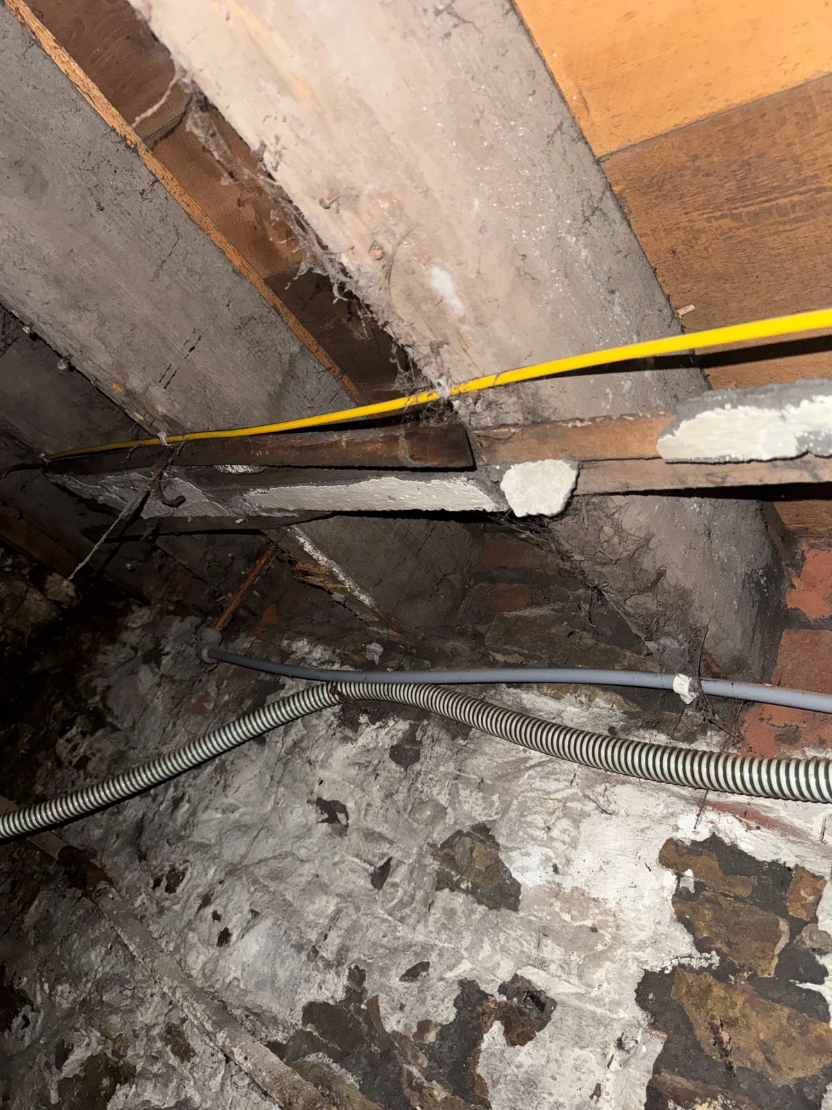 Timber joists and the underside of floorboards above a masonry cellar wall, with services crossing the view.